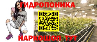 ПСИЛОЦИБИНОВЫЕ ГРИБЫ Будённовск