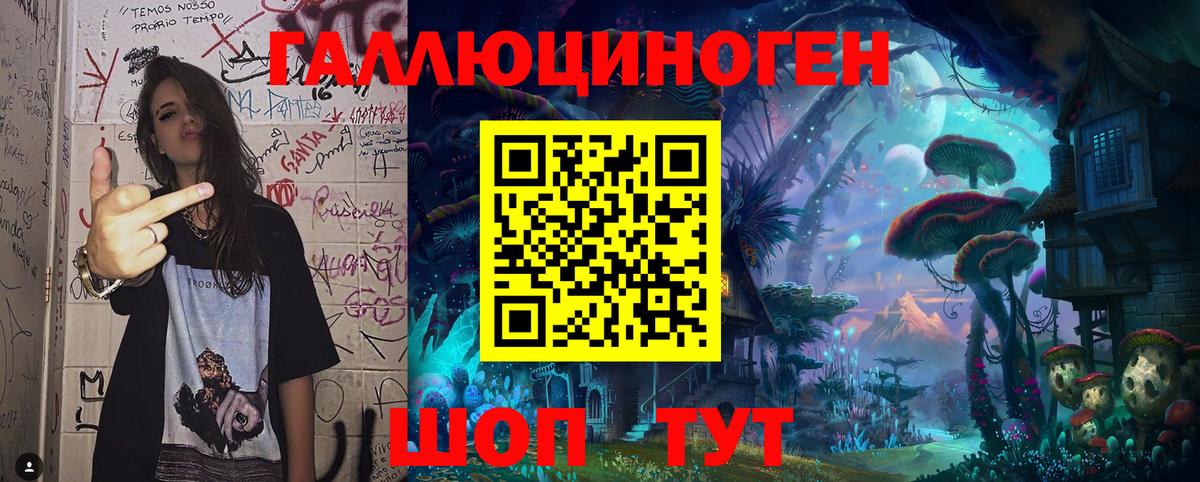 Галлюциногенные грибы Psilocybe Лабинск