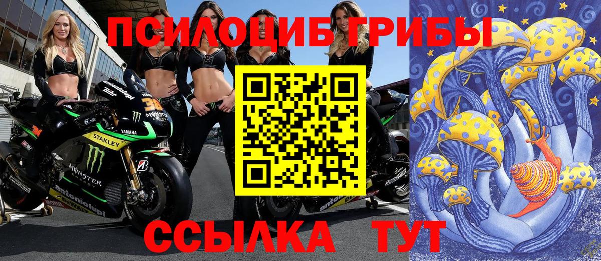 Лабинск  Галлюциногенные грибы Magic Shrooms  Псилоцибиновые грибы ЛСД  Вход с VPN 